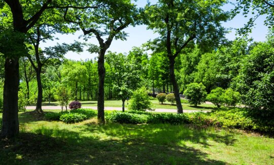 Le parc Brascassat s'agrandit : faut-il miser sur l'immobilier neuf à Bordeaux Sud ?