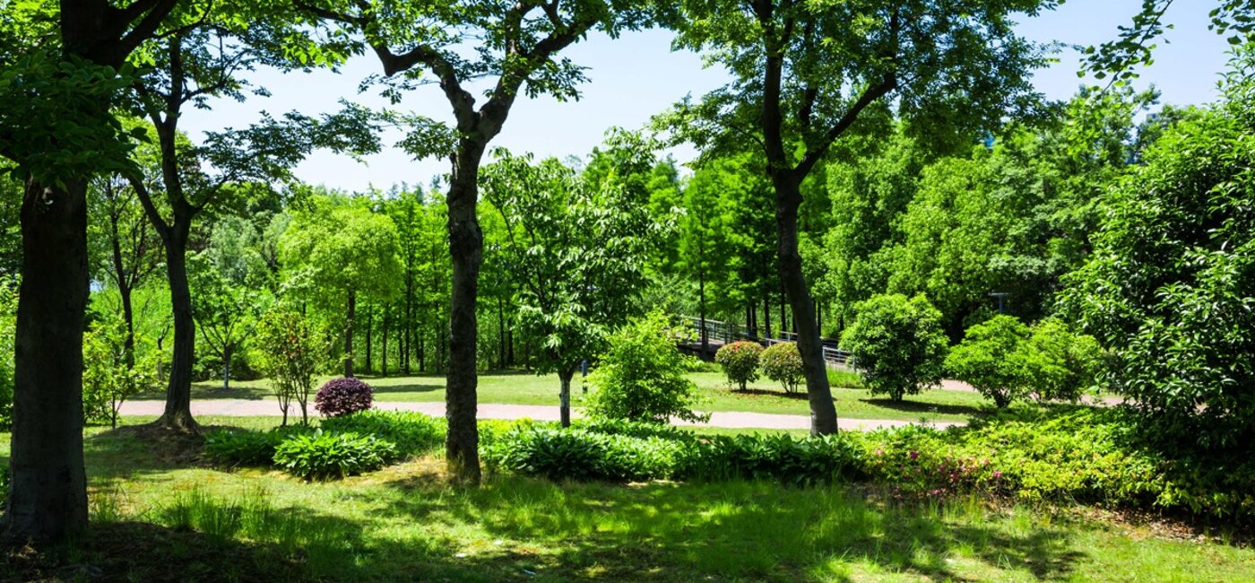 Le parc Brascassat s'agrandit : faut-il miser sur l'immobilier neuf à Bordeaux Sud ?