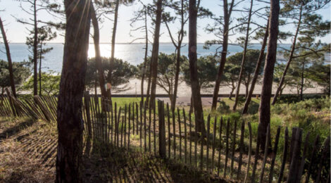 Programme immobilier neuf VILLA CAPELLA - Arcachon : Résidence T2–T4 avec cadre balnéaire et confort optimisé proche des commodités (33120) - Référence : 14273