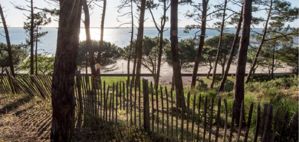 Programme immobilier neuf VILLA CAPELLA - Arcachon : Résidence T2–T4 avec cadre balnéaire et confort optimisé proche des commodités (33120) - Référence : 14273